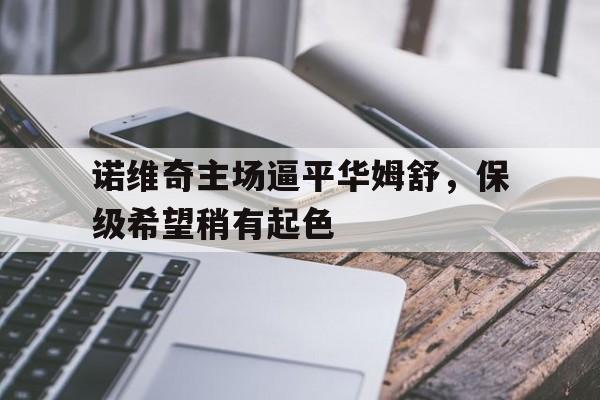包含诺维奇主场逼平华姆舒，保级希望稍有起色的词条