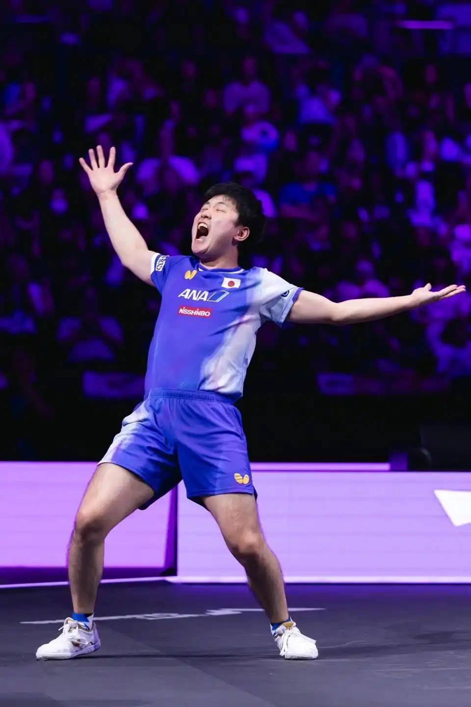 关于中国乒乓球队强势奥地利乒乓球队,张本智和绝境逆转的信息 关于中国乒乓球队强势奥地利乒乓球队,张本智和绝境逆转的信息