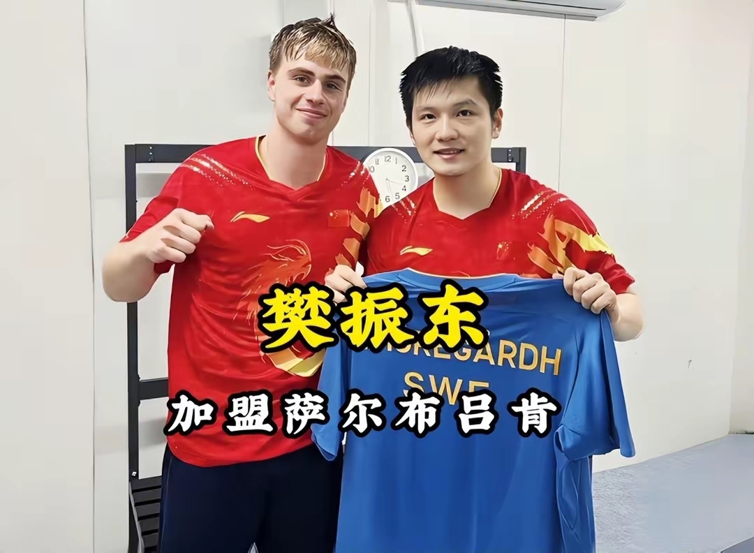 英格兰队险胜德国队,樊振东统治全场 英格兰队险胜德国队,樊振东统治全场