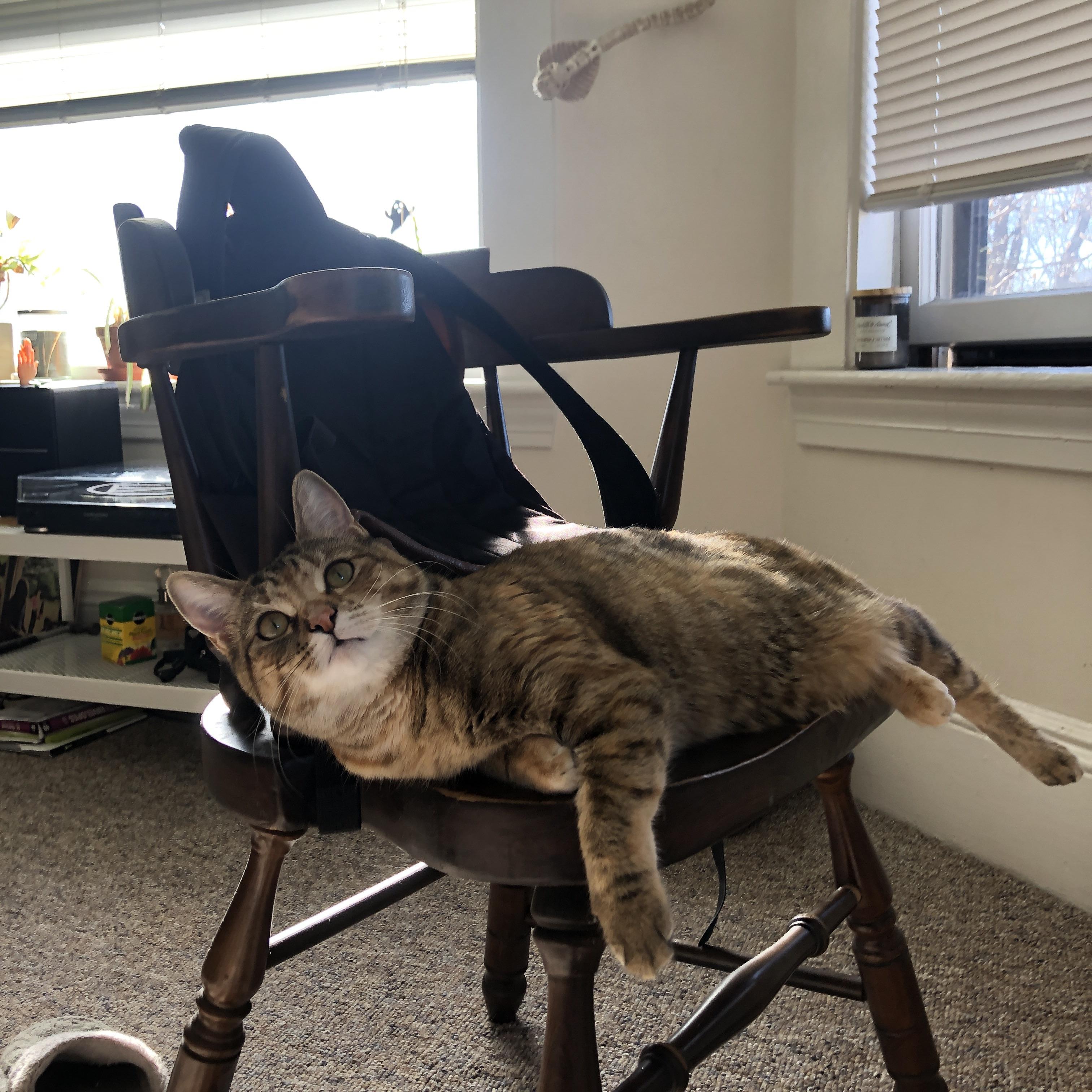 克莱·汤普森的欧冠时刻，勇士终结太阳背后的传奇接管