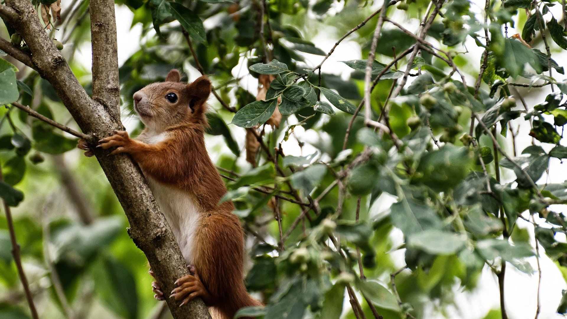世界排名争夺战之夜，德罗赞教科书级表现铸就传奇