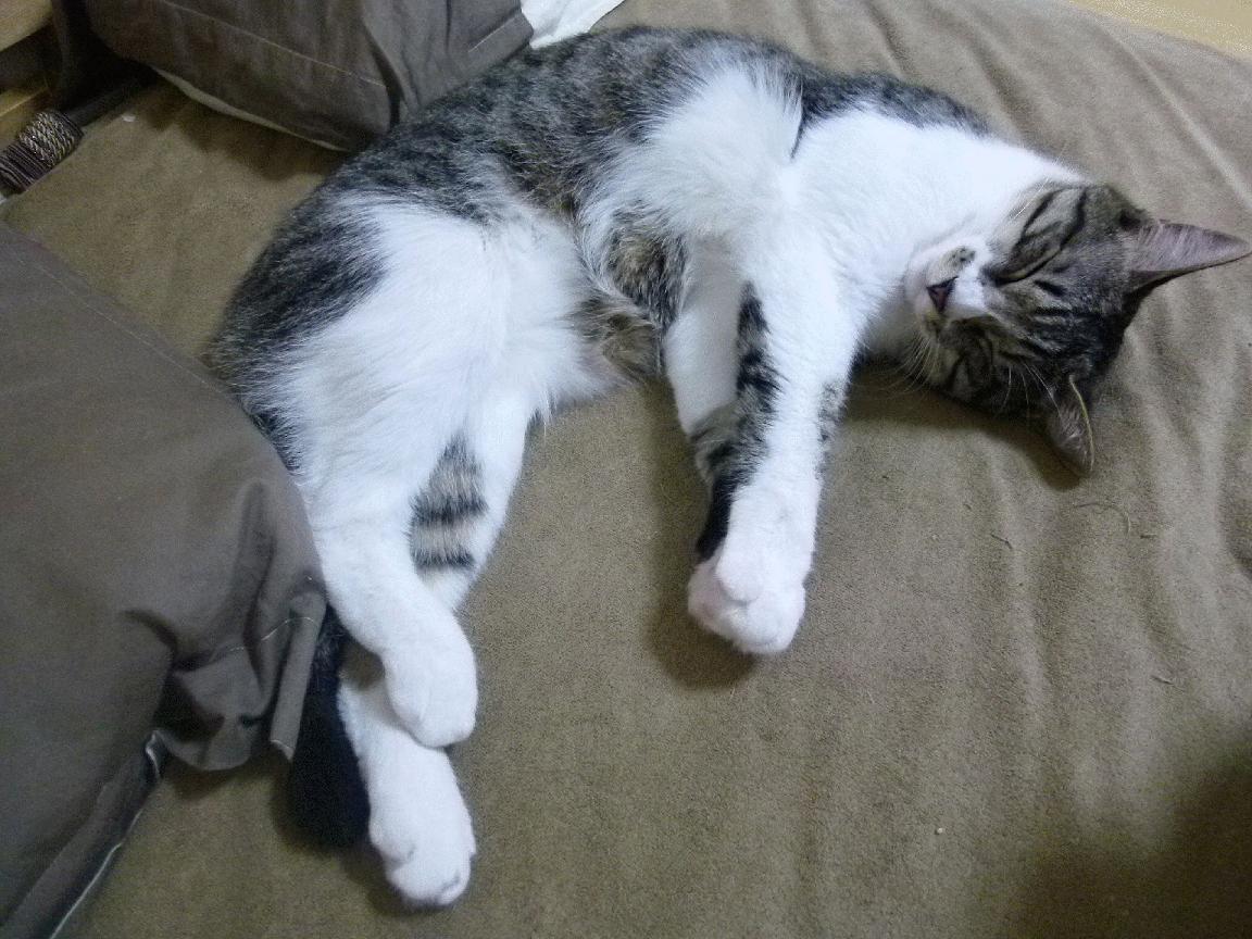 奥亚尔萨瓦尔的降维打击，利物浦用阿森纳的方式淘汰阿森纳