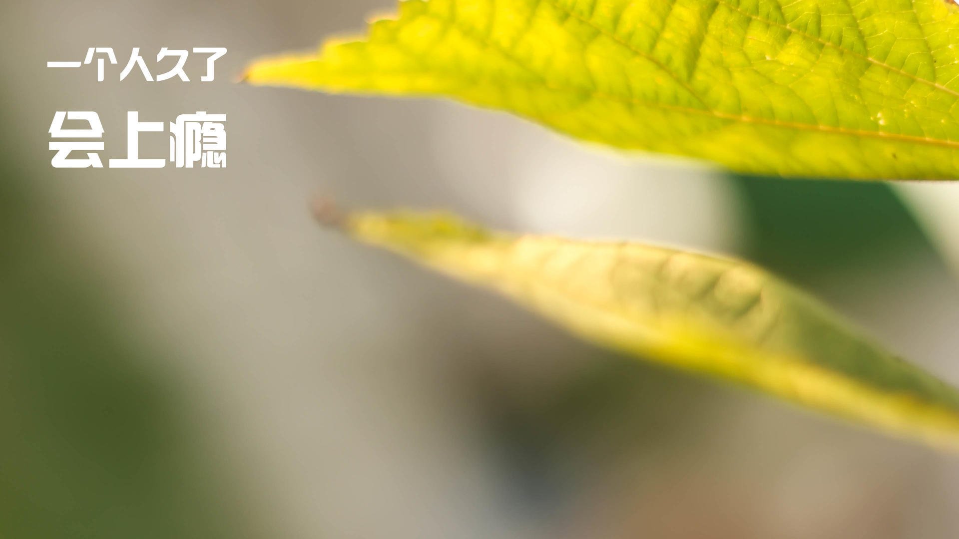 末节封神，厄德高终场救主，枪手欧冠夜谱写史诗