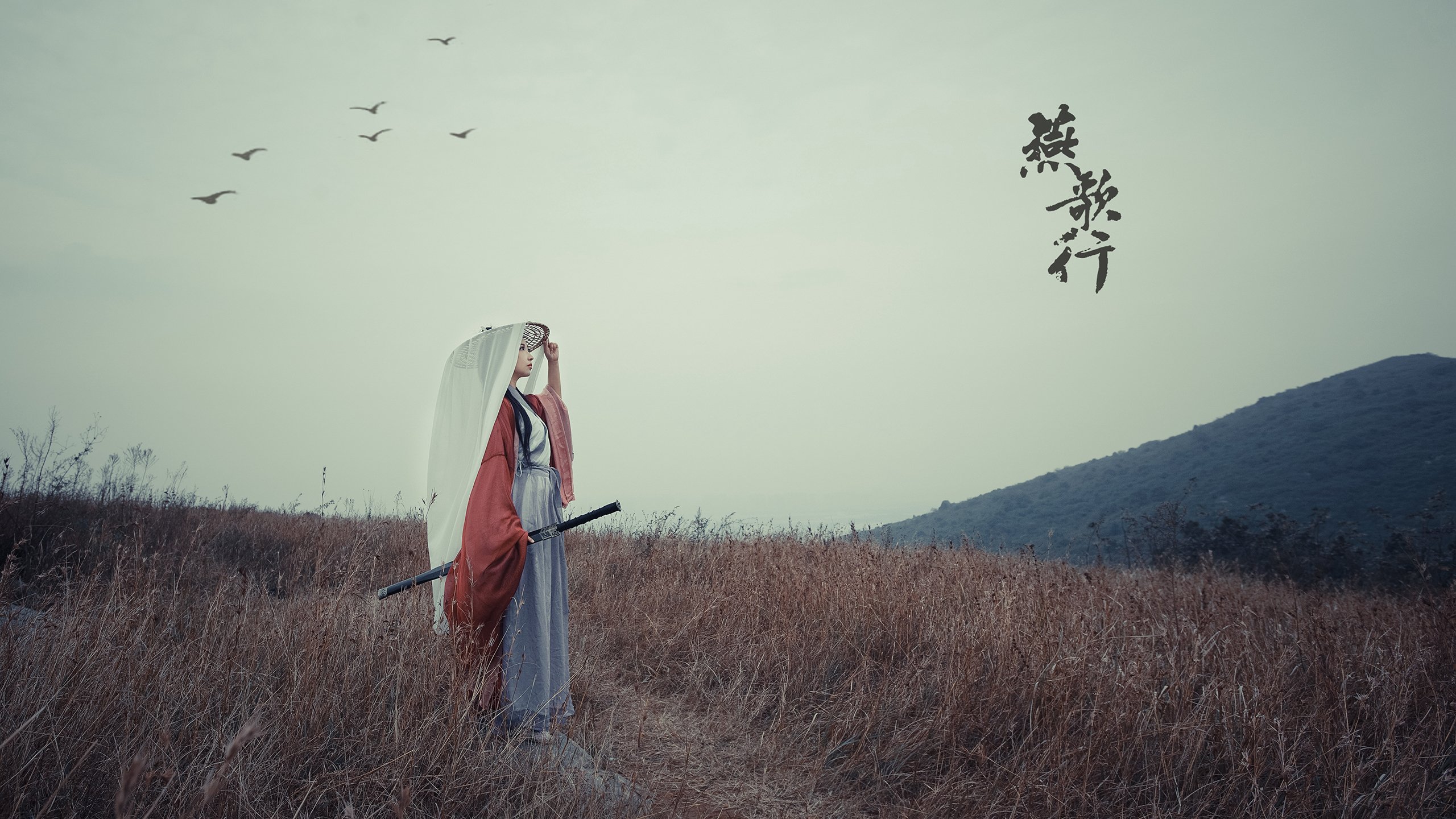 南美风暴，当铁壁防线遭遇火热核心—厄瓜多尔与委内瑞拉的狭路相逢