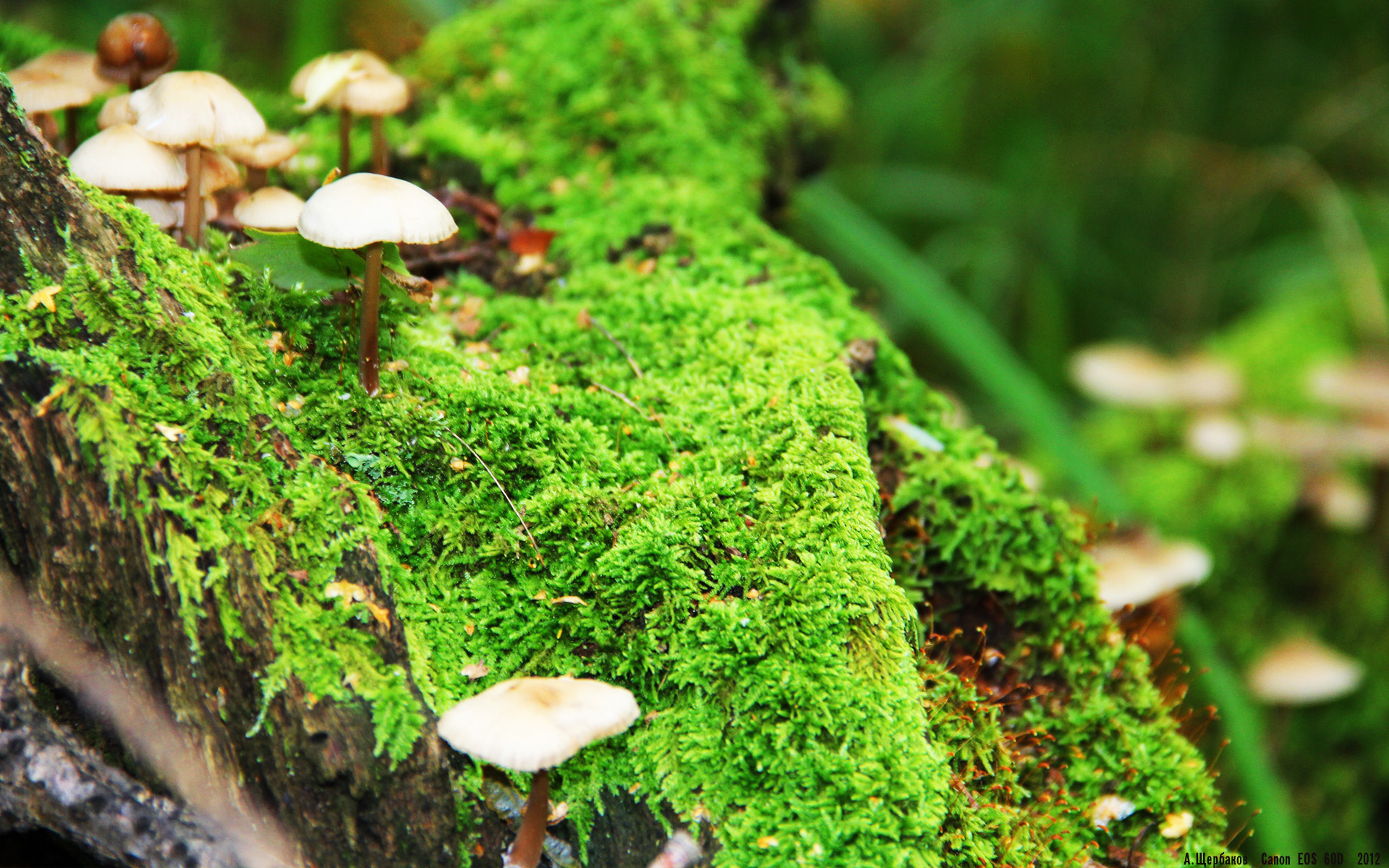 门迪神勇难救主，比利亚雷亚尔读秒绝杀险胜马赛