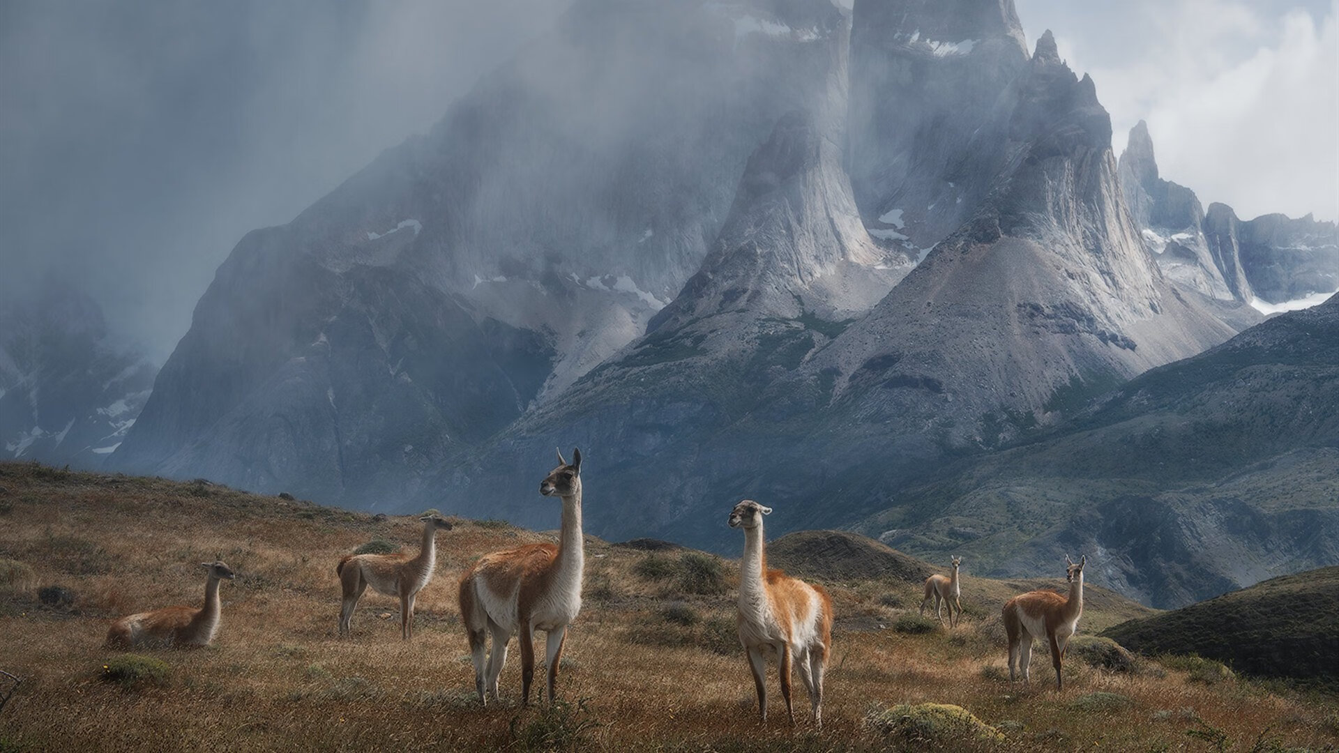 飓风席卷圣马梅斯，牙买加生死战罗德里戈数据引爆全场
