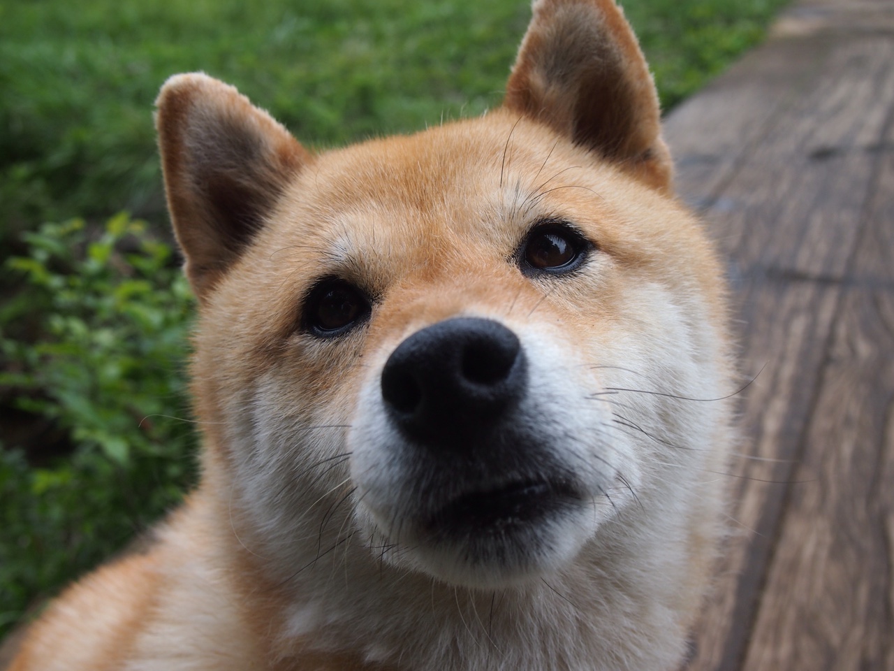 绿茵场上的双城记，德甲争冠战白热化，毕尔巴鄂爆冷皇马震撼足坛