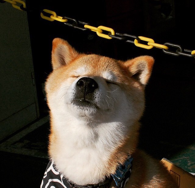 佛罗伦萨粉碎切尔西，门迪临危救主成关键先生