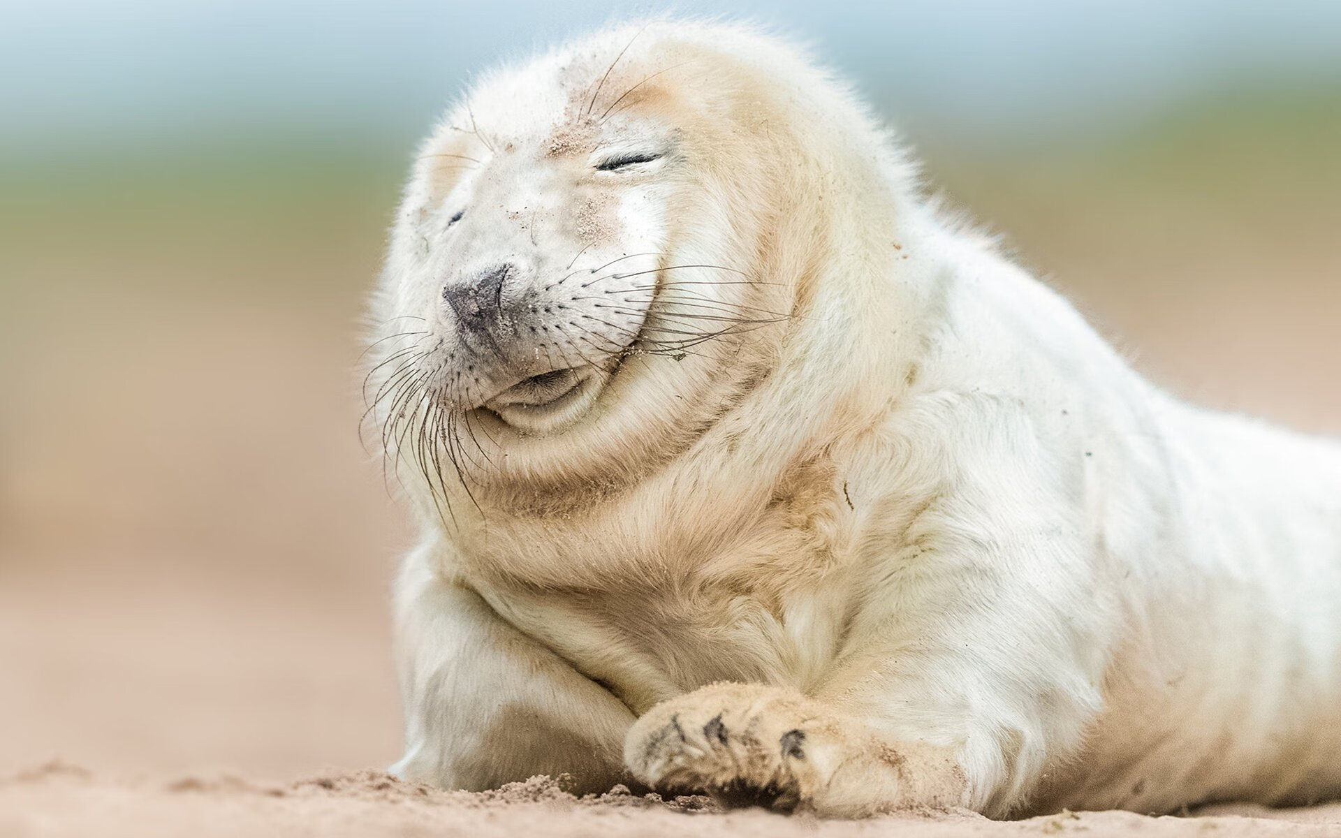 欧冠淘汰赛之夜,当恩比德的后撤步在禁区画出一道篮球场的单刀球