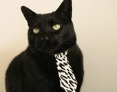 速度与格局,F1赛季轰鸣启航,马刺军团踏平费城