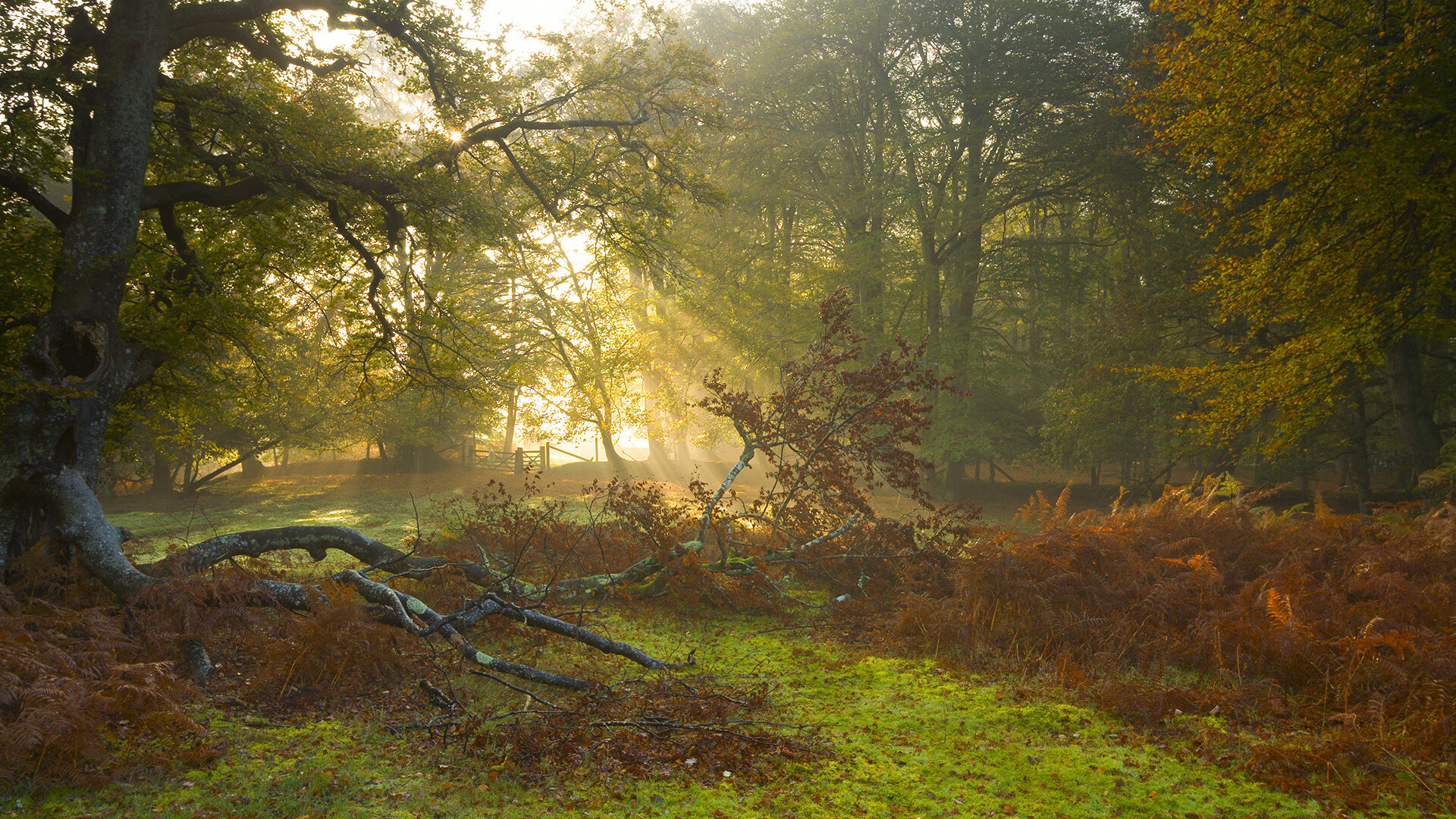 西甲国家德比之夜，斯通斯的冠军级表现