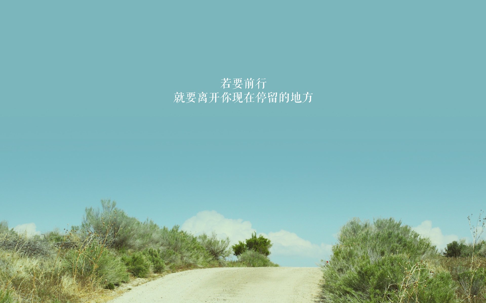 广厦队单节拉开太阳,拉梅洛2026世界杯接管比赛,篮球世界的双重闪耀